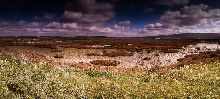 panorámica 8